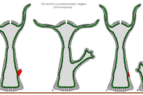 Kraken зеркало рабочее market